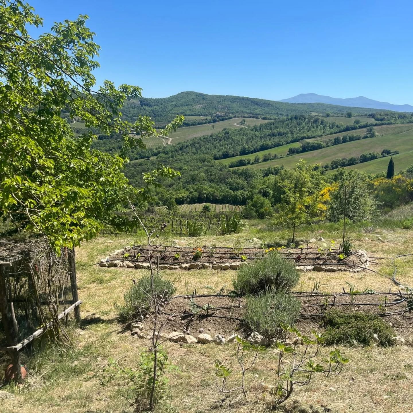 Corte Pavone — foto 2