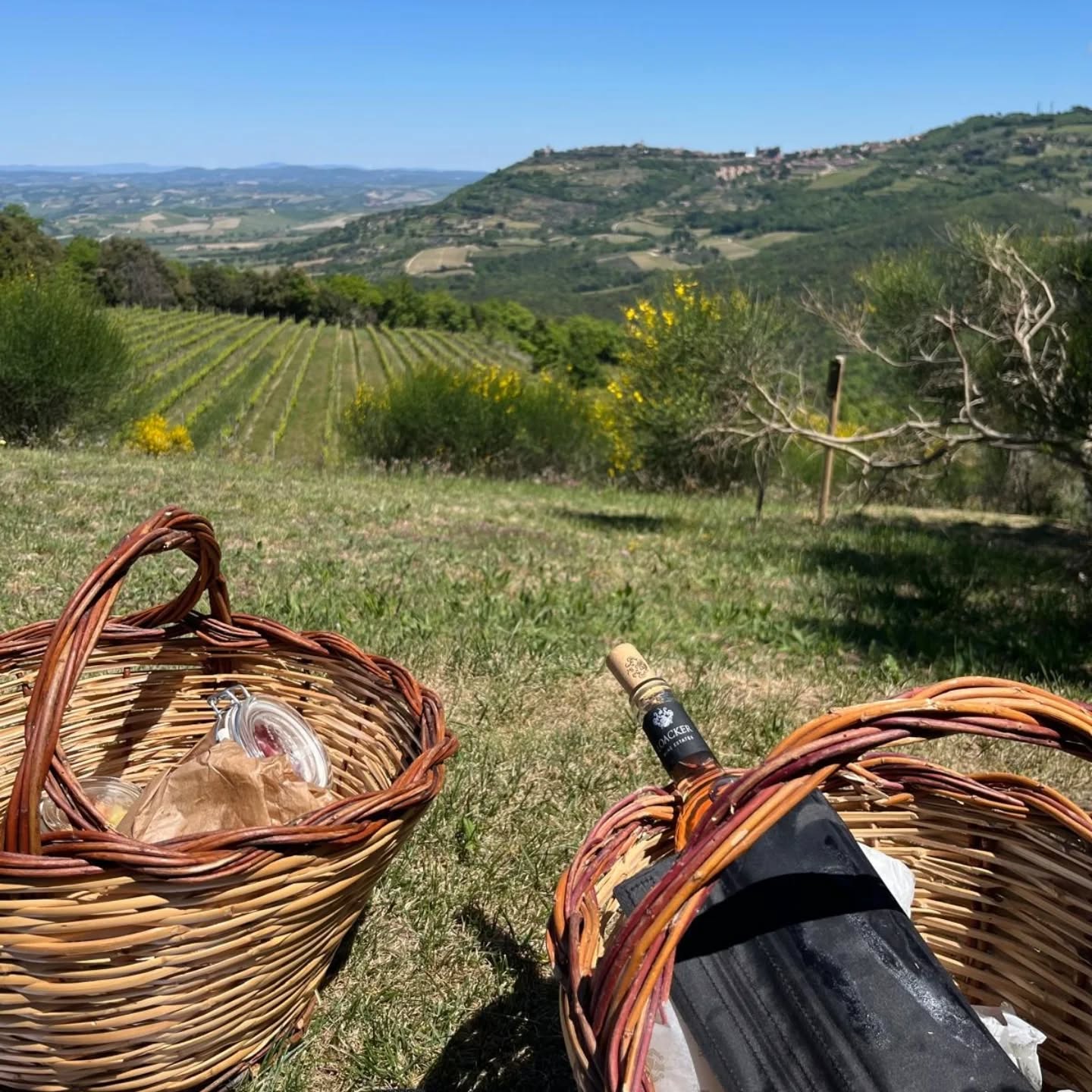 Corte Pavone — foto 4